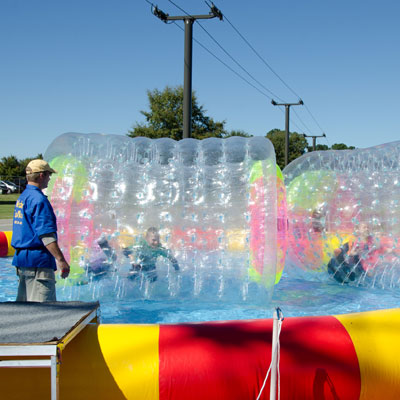 Water Walkers at Boxerstock